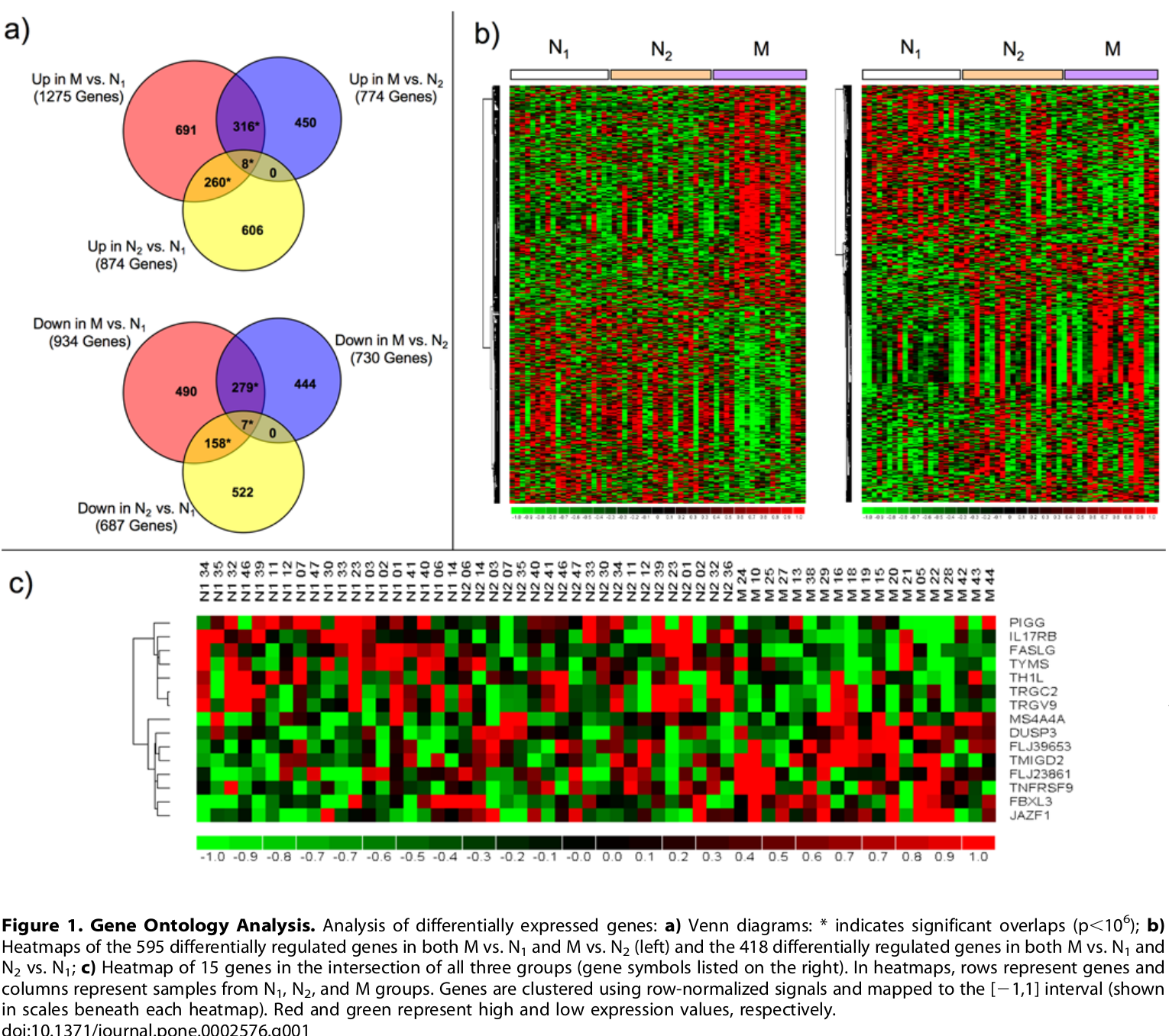 Gene expression analysis. Тепловая карта Экспрессия генов. Карта экспрессии генов. Меток для мониторинга экспрессии генов. Графические Эталоны экспрессии.