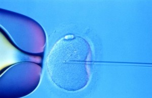 ivf-icsi-fertilisation